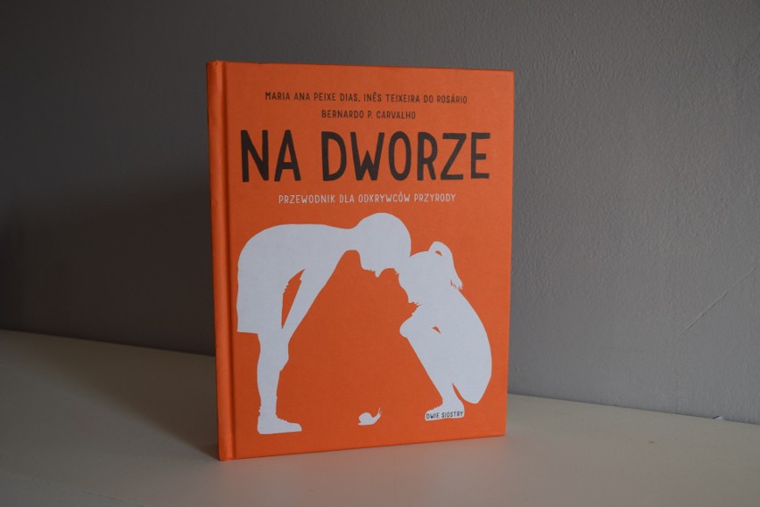 Co robić w drugiej połowie wakacji? Wyjść z książką w plener! Sprawdzamy „Na dworze. Przewodnik dla odkrywców przyrody” 