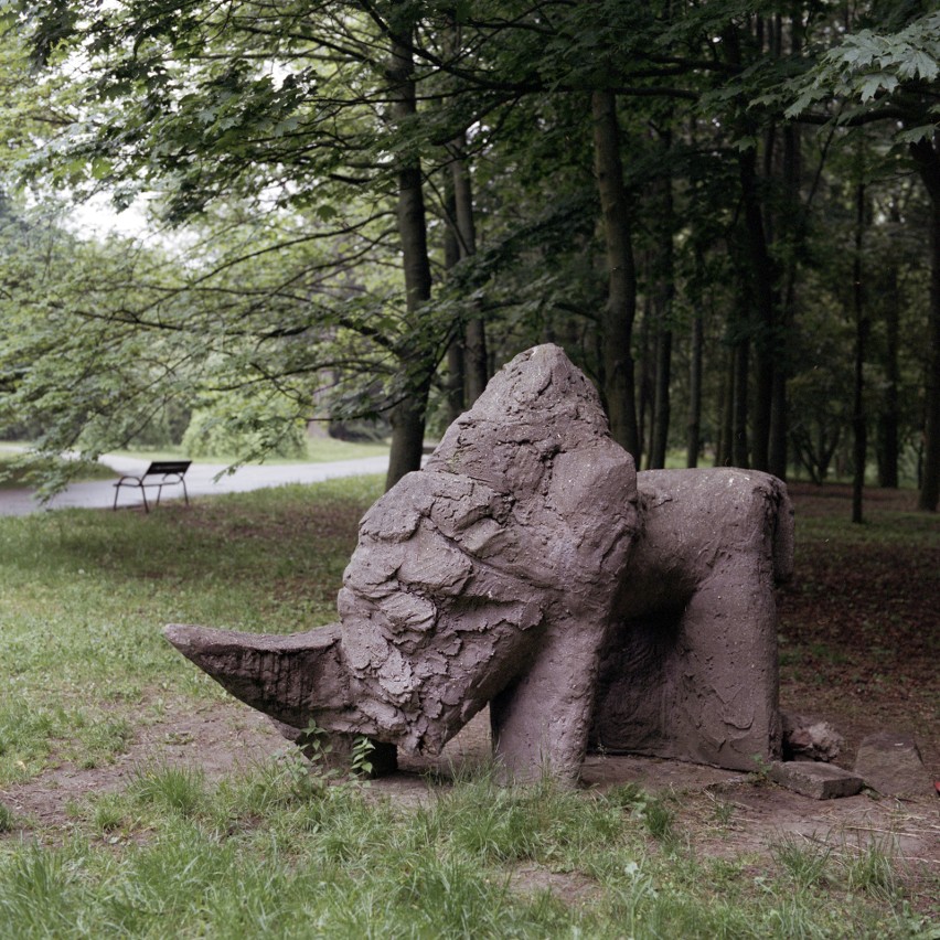 Rzeźbę "Zwierz" Anny Rodzińskiej oglądać możemy w Parku...