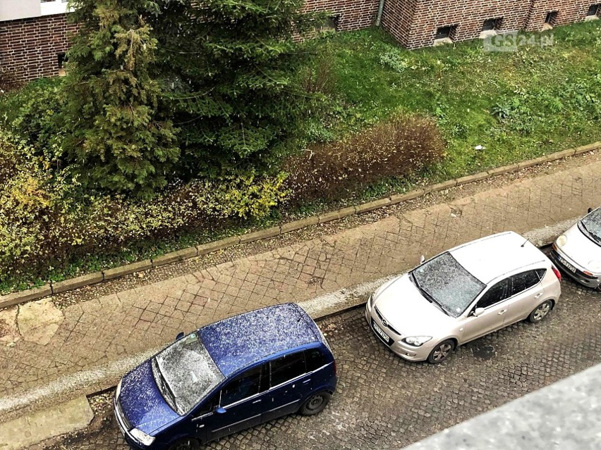 Pierwszy śnieg w Szczecinie! Jaka jest prognoza pogody? Zobacz zdjęcia! - 3.12.2020