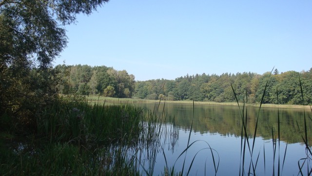 „To jest nasza dzierżawa i dbajmy o ten dar”  - tak o jeziorze Kuchnia, częściowo położonym na terenie gminy Rogóźno,  piszą inicjatorzy ustanowienia tu strefy ciszy. 