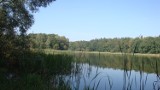 Jeziora w powiecie grudziądzkim: Oazy ciszy czy raj dla skuterów?
