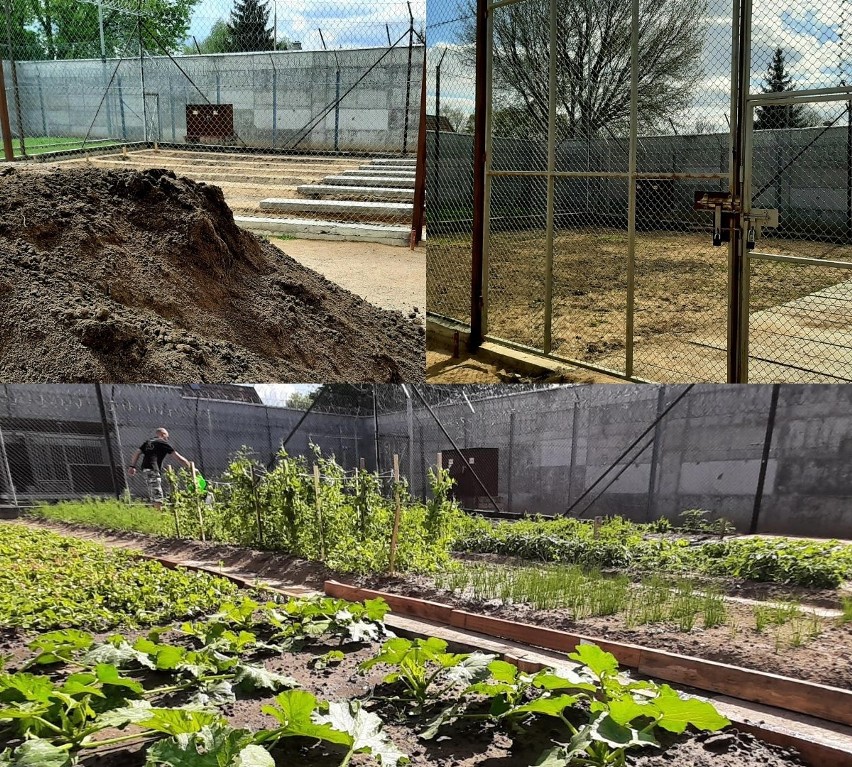 Zakład Karny przy ul. Hetmańskiej w Białymstoku to jednostka...