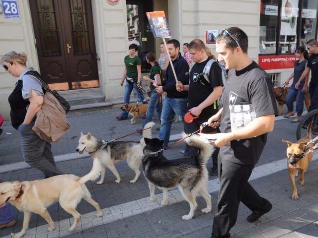 Uczestnicy marszu przeszli ulicą Krakowską, a potem do schroniska dla zwierząt.