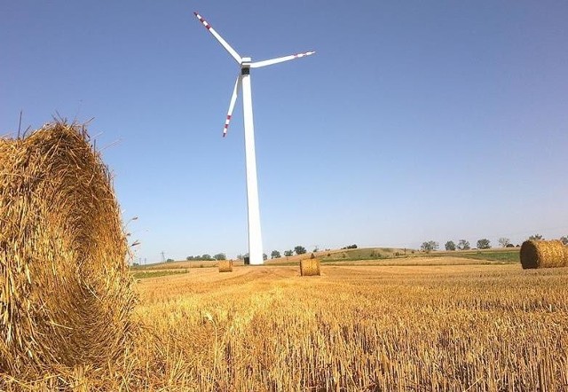 NIK o elektrowniach wiatrowych