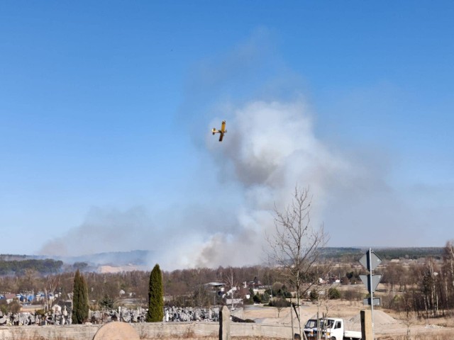 Wielki pożar w gminie Brody w powiecie starachowickim widać w sąsiednich miejscowościach. Na miejscu działają strażacy z kilku powiatów i samolot ratowniczy.