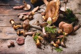 Zatrucie grzybami – objawy, pierwsza pomoc i skutki spożycia poszczególnych grzybów trujących. Jak zapobiegać zatruciom grzybami jadalnymi?