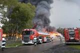 Wąchock. Wielki pożar odpadów. Na miejscu 30 zastępów straży [ZDJĘCIA, WIDEO]