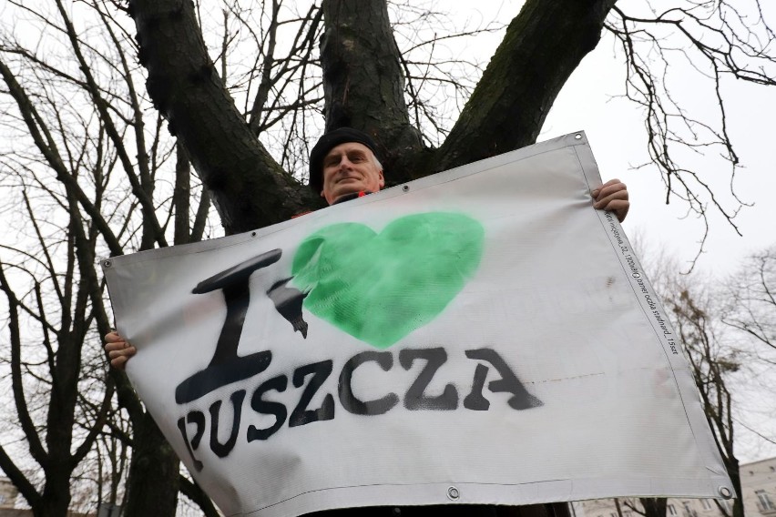 Protest wobec kolejnej wycinki drzew w Puszczy Białowieskiej. Na białostockich balkonach zawisły banery w jej obronie