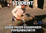 Wesołe i ciężkie życie studenta. Oto najlepsze memy o studiach, studiowaniu i studentach