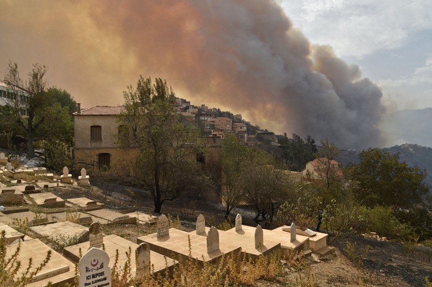 Algieria: 25 żołnierzy zginęło w ogniu, gdy pomagali mieszkańcom wsi. W Grecji giną bociany