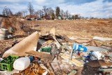 Polacy coraz mniej eko? Jako najważniejsze działania wskazano segregację śmieci i recykling oraz ograniczenie używania plastiku