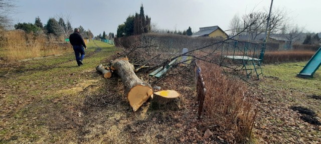 Na trasie przyszłej obwodnicy Tarnobrzega do likwidacji jest około 70 działek w Rodzinnych Ogrodach Działkowych Kamionka i Związkowiec. Do końca marca działkowcy mają zabrać swoje rzeczy. W kwietniu altany będą wyburzane.