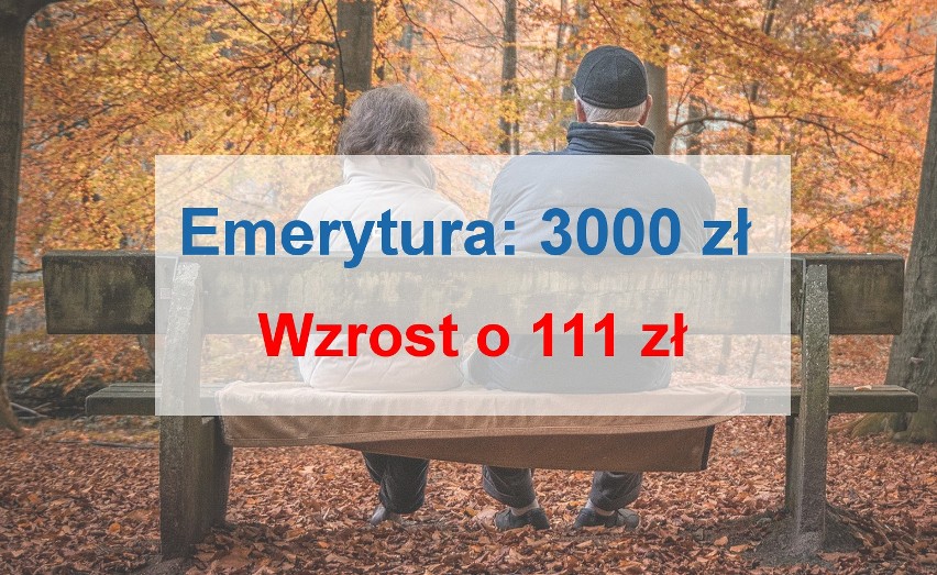 Przykładowe wyliczenia rent i emerytur przy założeniu, że...