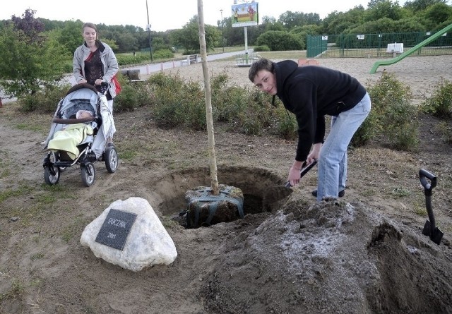 Tak wygląda sadzenie drzew w Gaju przez rodziców w Gdańsku. Pierwsze odbyło się w 2012 roku.