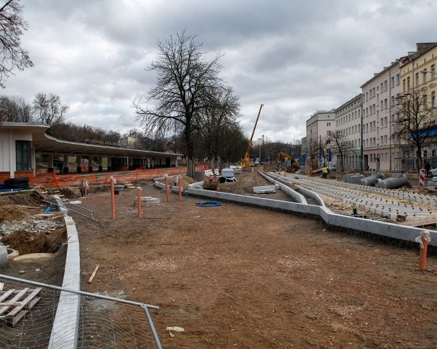 Zieleń w Łodzi. W 2023 roku w mieście zostanie posadzonych blisko 50 tysięcy drzew! Zobacz gdzie