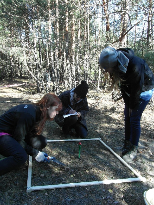 Uczniowie British International School of Cracow w ramach warsztatów badają różnice w podłożu w trzech strefach: lesie, strefie przejściowej i strefie pustynnej