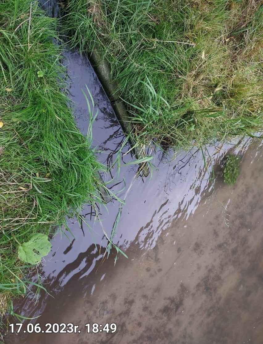 Ścieki płyną do rzeki w Ojcowskim Parku Narodowym. Niesprawna oczyszczalnia w gminie Skała z nakazem likwidacji i zamiany na przepompownię