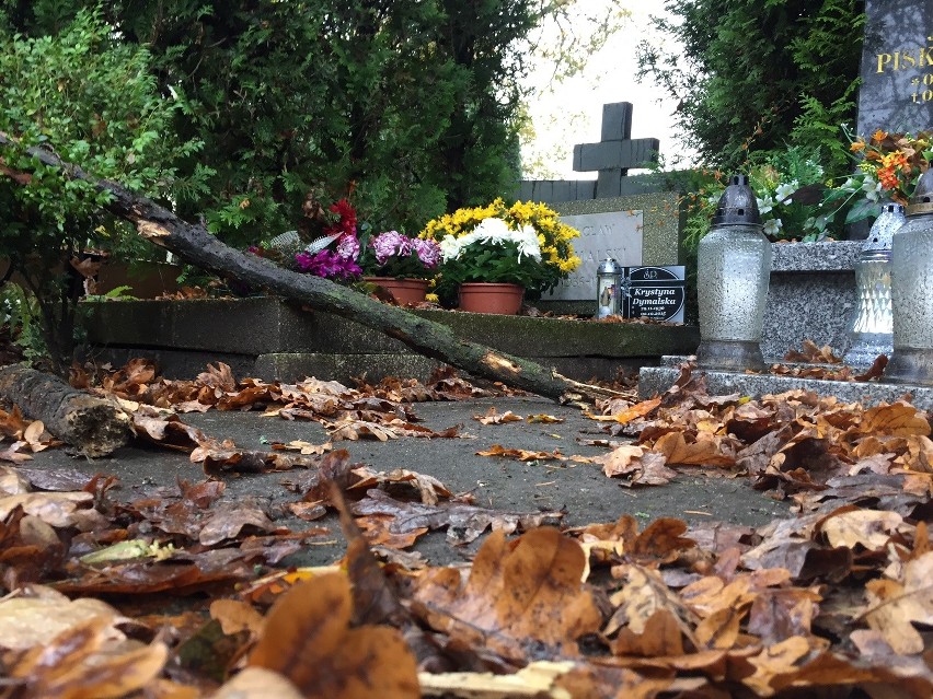 Orkan Grzegorz we Wrocławiu. Tak wygląda cmentarz Grabiszyński