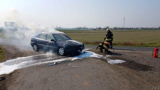 Kierowca citroena zjechał w boczną drogę i wezwał pomoc. Na miejsce przyjechały dwie jednostki zawodowej straży pożarnej z Opola oraz Ochotnicza Straż Pożarna z Bierdzan.