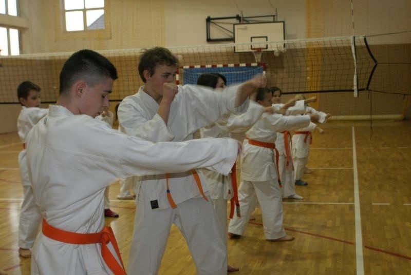 Karatecy w Czerwinie