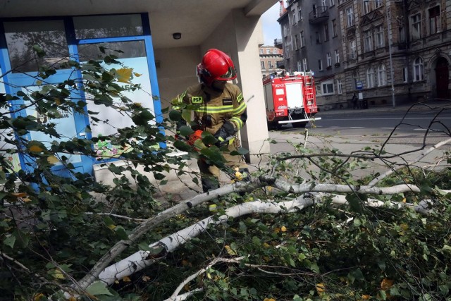 Tysiące ludzi bez prądu w woj. śląskim. Sprawdź miasta i ulice.Podajemy planowane wyłączenia prądu w woj. śląskim. Wyłączenia prądu są spowodowane awariami, niezbędną konserwacją czy naprawą sieci. Na liście mamy najważniejsze miasta oraz powiaty w regionie i konkretne adresy, gdzie nie będzie prądu. Tauron Dystrybucja podaje planowane przerwy w dostawie energii elektrycznej.Zobacz planowane wyłączenia prądu w miastach wraz z ulicami i datami. Przesuwaj zdjęcia w prawo - naciśnij strzałkę lub przycisk NASTĘPNE