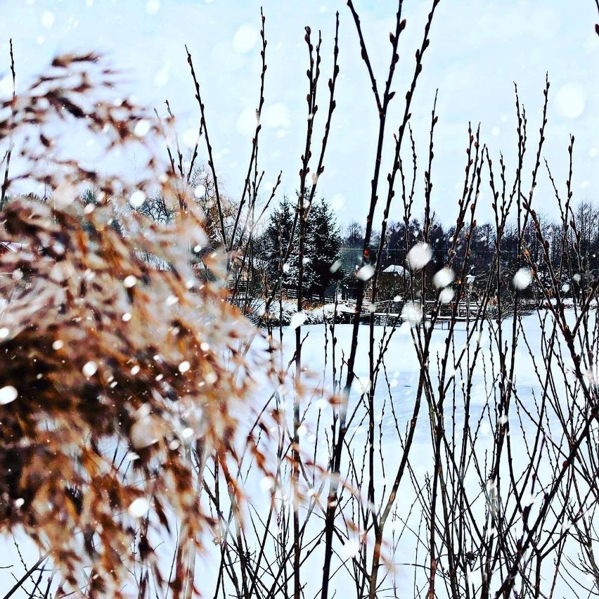 Młodzi mieszkańcy Skaryszewa zrobili fantastyczne zdjęcia gminy w zimowej szacie