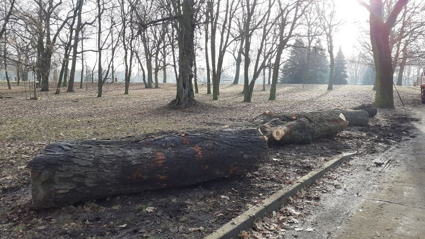 W parku na Cytadeli pojawiły się kłody blokujące wjazd...