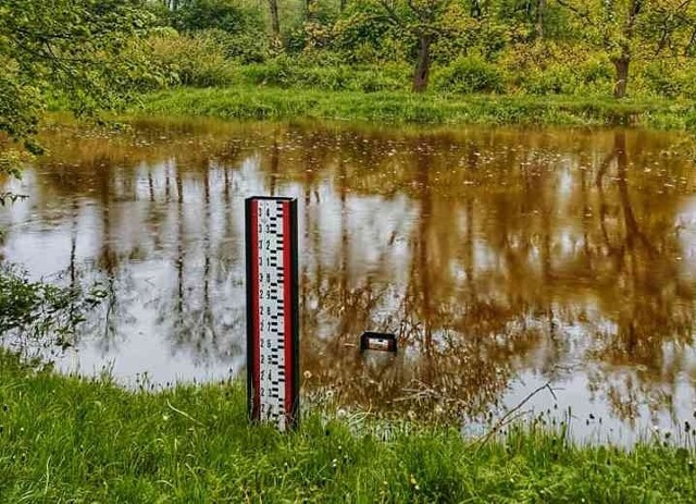 Przekroczony stan wody na Kamiennej w Wąchocku