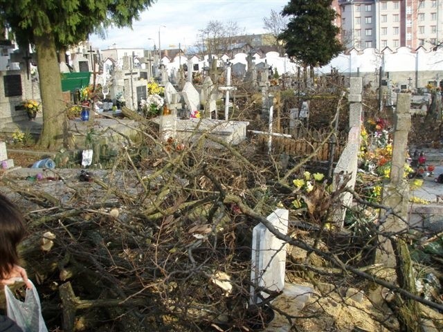 Wycinka drzew na cmentarzu Rocha w Bialymstoku