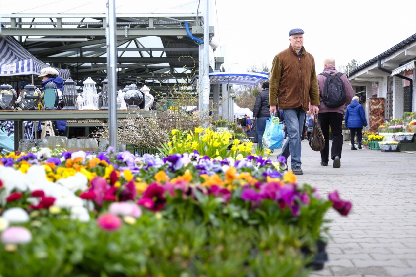 Toruń. Zakupy na Wielkanoc? Targ zaprasza na jarmark! A już dziś kusi zdrową żywnością