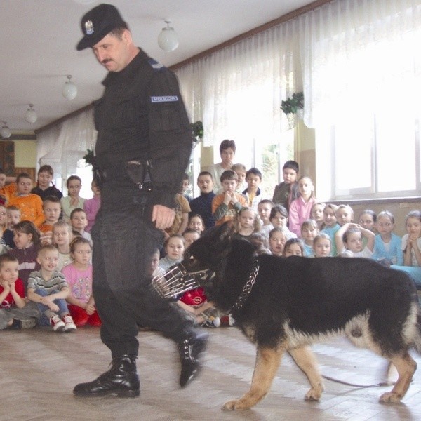 W ramach akacji "Stop bezmyślności" podczas zajęć z dziećmi policjanci prezentują tresurę psa i jego możliwości. Na zdjęciu: sierż. szt. Sławomir Woszczenko oraz pies Niger na spotkaniu z dziećmi klas I-II w Zespole Szkół Nr1