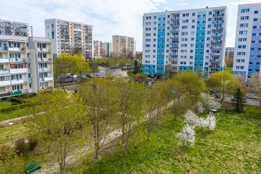 Gdańsk. Co z terenami przy ul. Marusarzówny w dzielnicy...