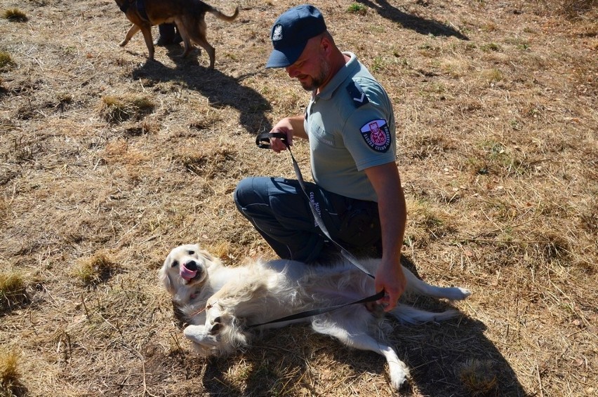 Szkolenie psów w Uhowie