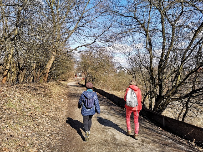 Kraków. Słoneczna pogoda przyciągnęła mieszkańców nad Zakrzówek [ZDJĘCIA]