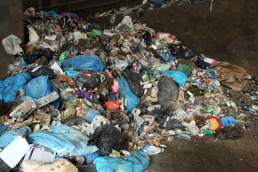 Akcja segregacja w Lublinie. Żywot śmieci po ich wyjściu z domu. Z wizytą w sortowni. Zobacz zdjęcia i wideo 
