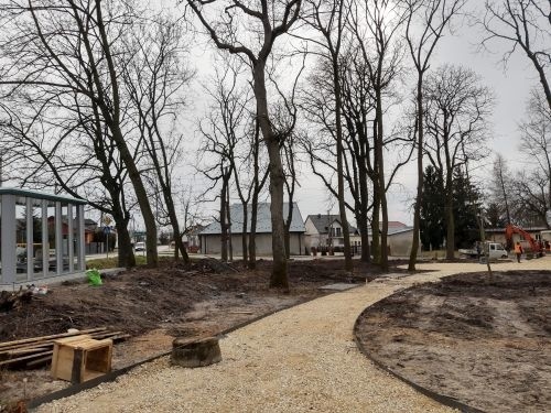 Trwa rewitalizacja fragmentu zabytkowego parku w Zborowie.