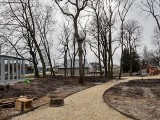 Rewitalizacja części zabytkowego parku w Zborowie. Będzie dostępny dla mieszkańców w maju. To inwestycja za ponad 600 tysięcy (ZDJĘCIA)