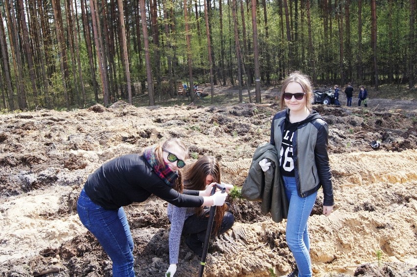 W Siewierzu zasadzili 500 drzewek pod okiem leśników [ZDJĘCIA]