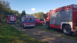 Kierowca fiata zmarł podczas jazdy. Wypadek w Łagiewnikach Nowych koło Łodzi. Cudem nie zrobił nikomu krzywdy