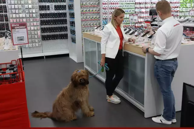 Upały dokuczają wszystkim - ludziom i zwięrzętom. Akcja „Witamy Psy!” obejmuje wolnostojące sklepy MediaMarkt i potrwa do września.