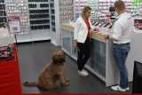 Z psem na zakupy? Do tych sklepów wpuszczą nas z psem, a w tych jest zakaz. Sprawdziliśmy!
