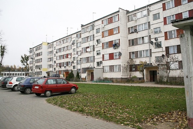 Mieszkańcy Miasteczka są świadomi ekologicznie. Chcą segregować odpady