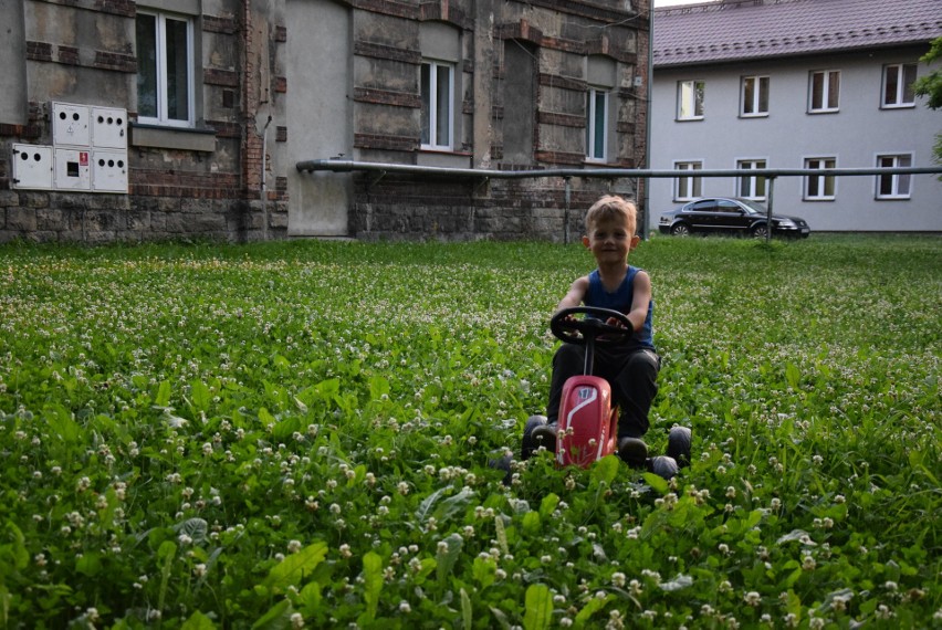 Oświęcim. Dzieci chcą się pluskać w basenie, jednak urzędnicy kazali go złożyć, bo się o nie boją