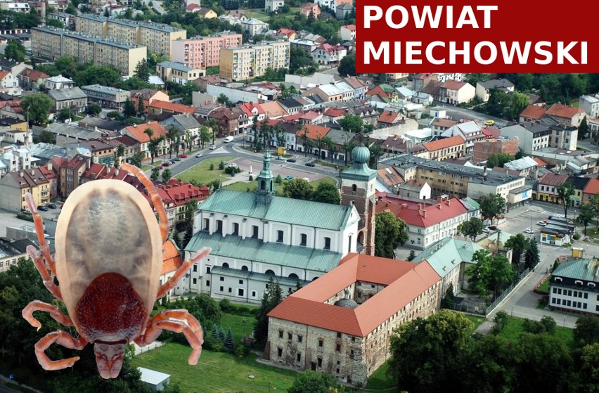 W powiecie miechowskim zachorowało od 2017 roku 96 osób (to...