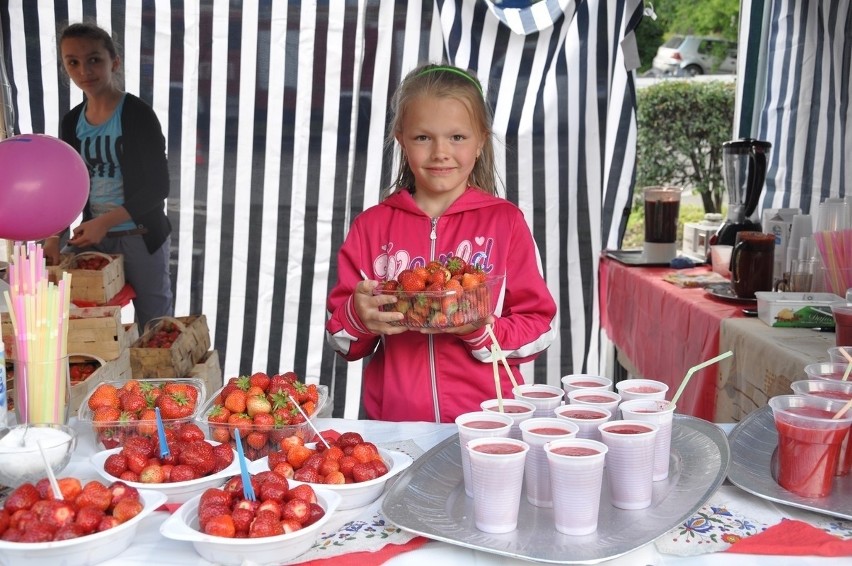 Truskawkobranie 2013: Na Złotej Górze truskawek na pewno nie zabraknie [ZDJĘCIA, PROGRAM]