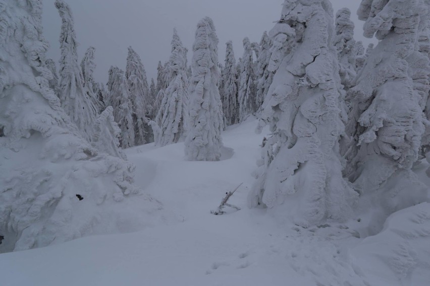 Warunki turystyczne w Beskidach są bardzo trudne, sypie śnieg. GOPR apeluje o rozwagę na szlakach