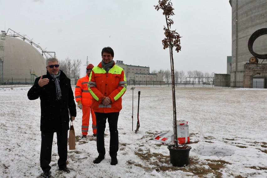 10 lat inwestycji Lafarge w Pomorskiej Specjalnej Strefie Ekonomicznej