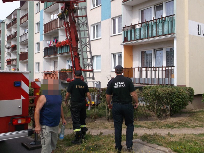 Strażnicy miejscy ratowali psa. Był uwięziony na balkonie