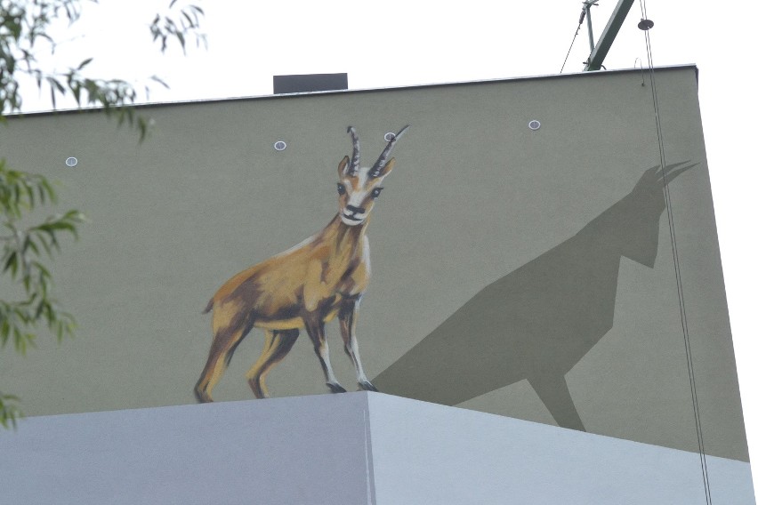 Szlak murali w Bielsku-Białej ZDJĘCIA Spacer już 13 września