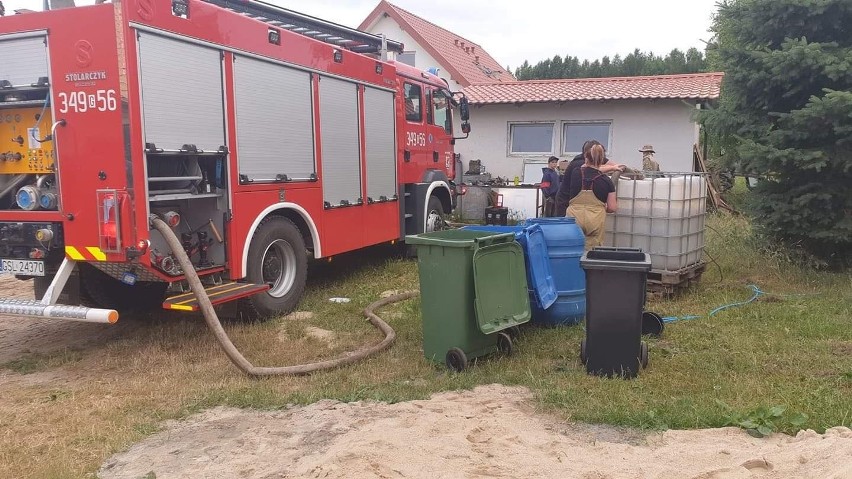 Strażacy napoili spragnione zwierzęta. OSP Potęgowo w...